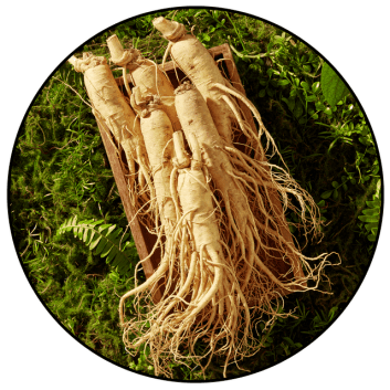 booster brew-ingredient 3